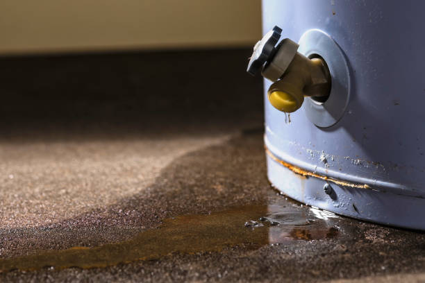  Ddleville, MI Water damage restoration Pros