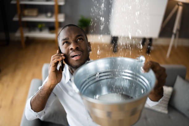 Best Water damage restoration mold remediation  in Ddleville, MI