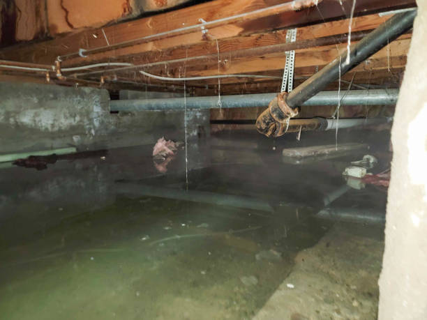 Best Emergency water damage restoration  in Ddleville, MI