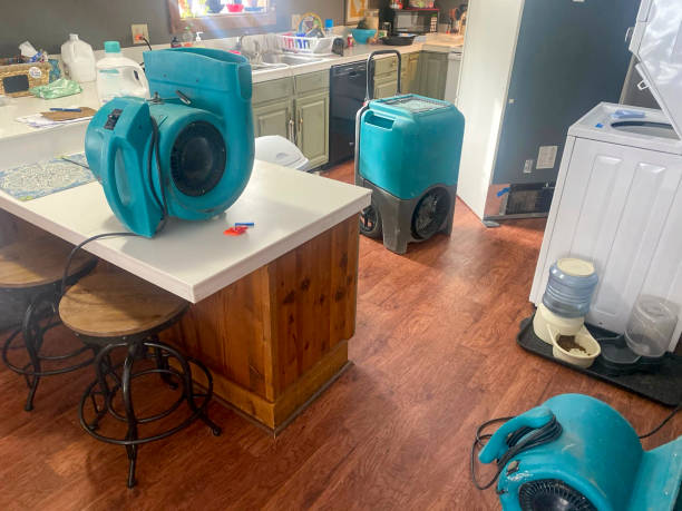 Sewage cleanup and water damage restoration in Middleville, MI