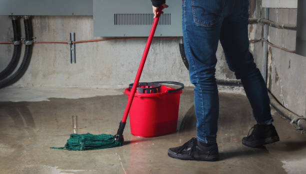 Best 24-hour water damage restoration  in Ddleville, MI