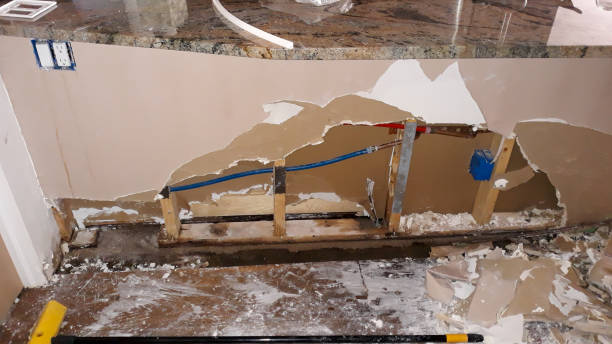 Best Sewage cleanup and water damage restoration  in Ddleville, MI