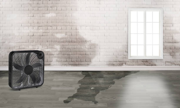 24/7 water damage repair in Middleville, MI