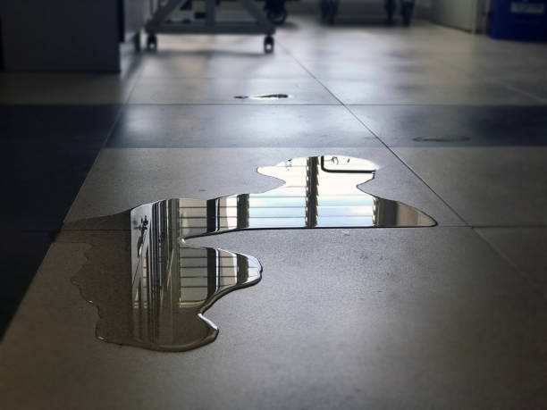 Best 24/7 water damage repair  in Ddleville, MI