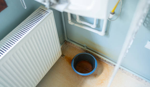 Best Water damage contractors near me  in Ddleville, MI