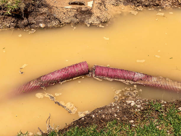 Best 24/7 water damage repair  in Ddleville, MI