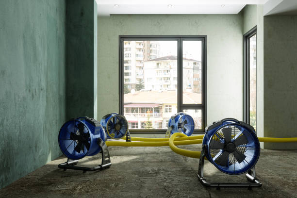 Best Commercial water damage restoration  in Ddleville, MI